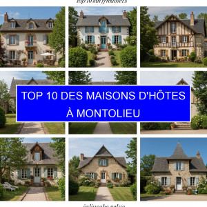 Top 1 des Maisons d'hôtes à Montolieu
