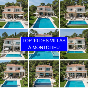 Top 1 des Villas à Montolieu